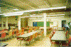 club_main_room_empty.gif (82354 bytes)