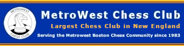 Check this out: Brazilian offers chess lessons in Framingham